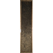 Чернозем миграционно-мицелярный