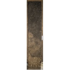 Чернозем глинисто-иллювиальный квазиглеевый Чернозем глинисто-иллювиальный квазиглеевый