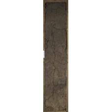 Чернозем миграционно-мицелярный Чернозем миграционно-мицелярный